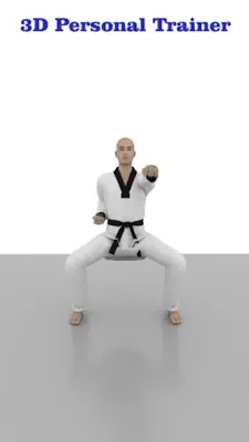 Taekwondo Workout At Home android App screenshot 11