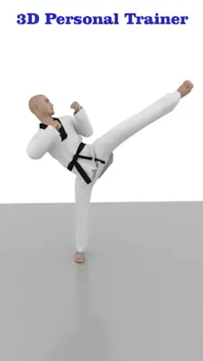 Taekwondo Workout At Home android App screenshot 12