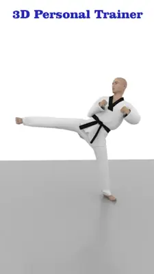 Taekwondo Workout At Home android App screenshot 5